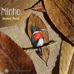Ninho